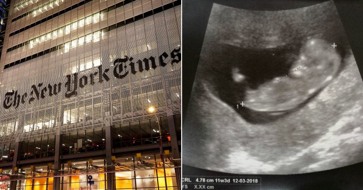 The New York Times headquarters, left, and unborn child, right.