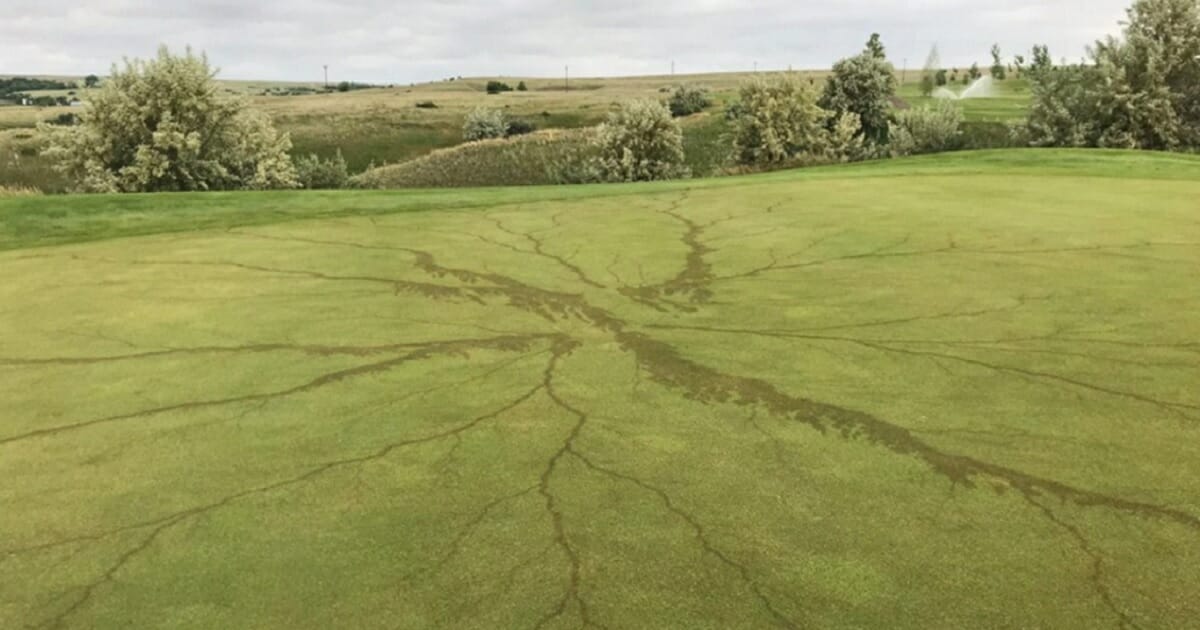 Lightning left a real mark on a Montana golf course.