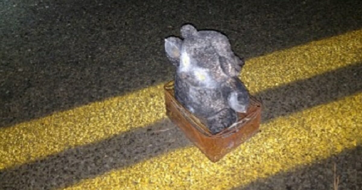 Teddy bear bomb in middle of the road.