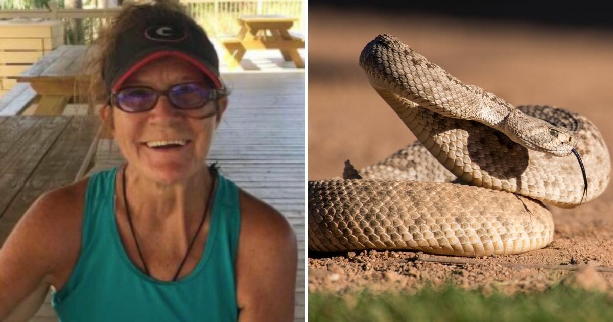 Woman Suffers Allergic Reaction and Dies After Being Bitten by