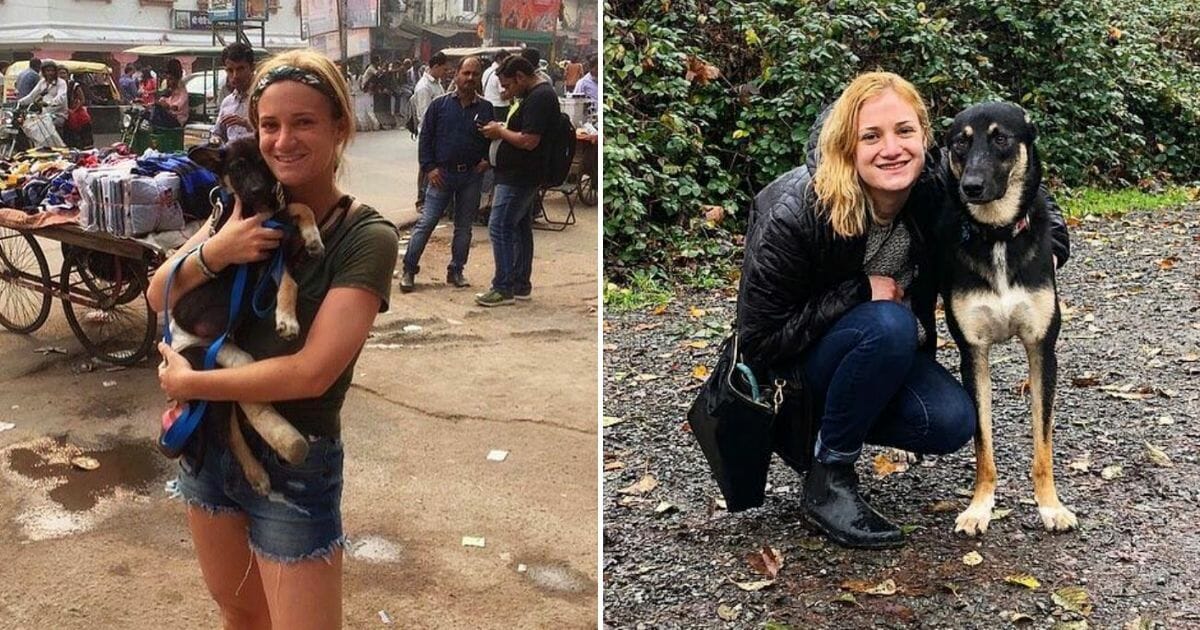 Delhi Puppy Rescue