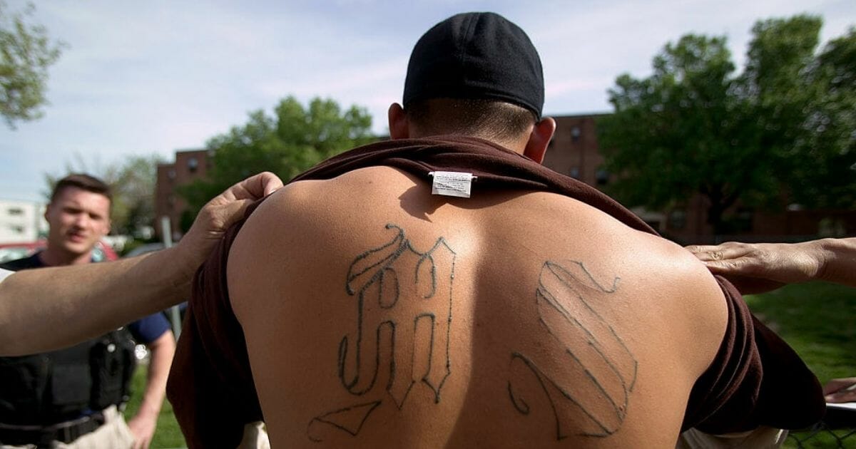 Armed police from Maryland's Prince George's County Anti-Gang Unit detain a confirmed gang member of Mara Salvatrucha 13, or MS-13, in Langley Park, Md.