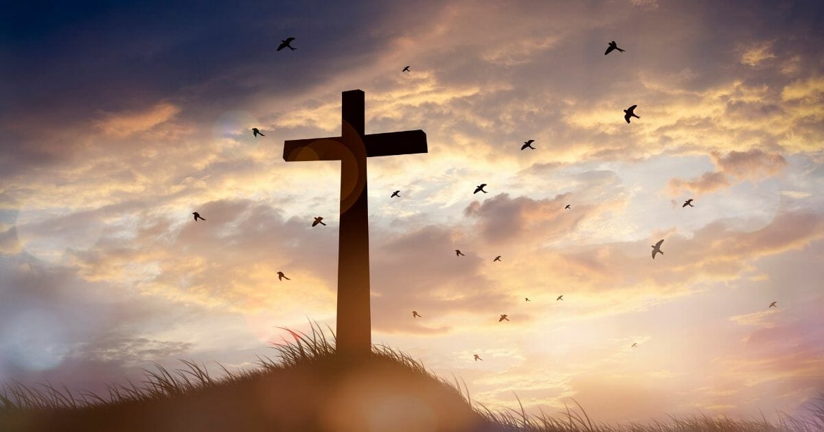 Concept conceptual black cross religion symbol silhouette in grass over sunset or sunrise sky.