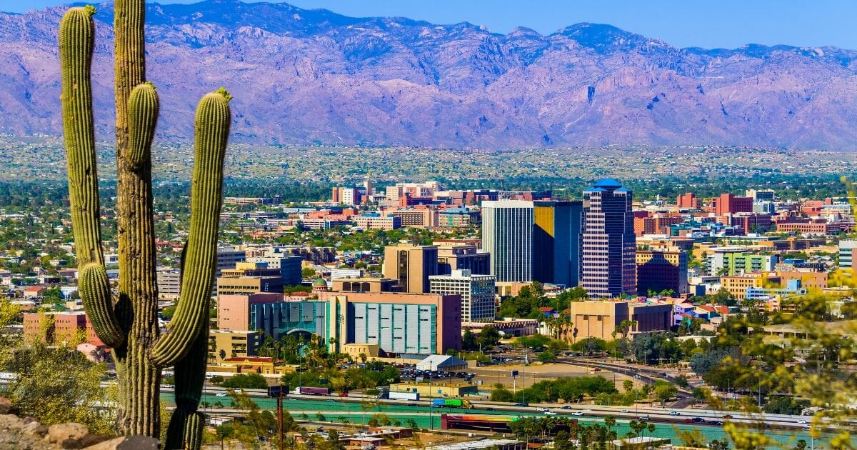City of Tucson, Arizona, framed by a cactus.