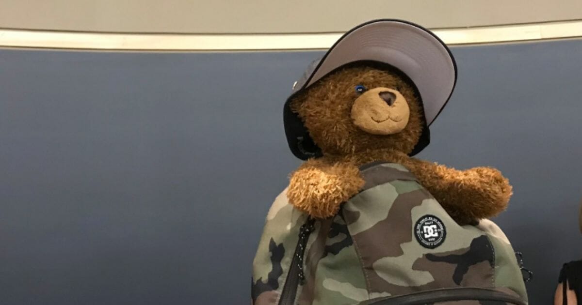 Seven-year-old Duncan's lost bear with a recording of his mother's voice.