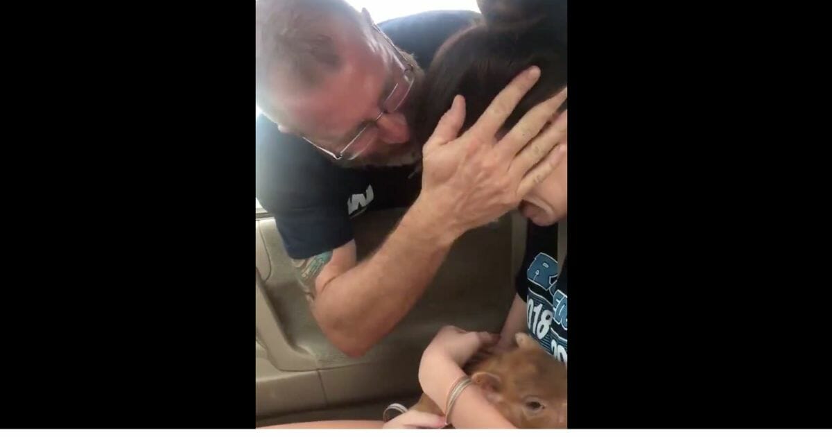 Dad surprises daughter with baby pig.
