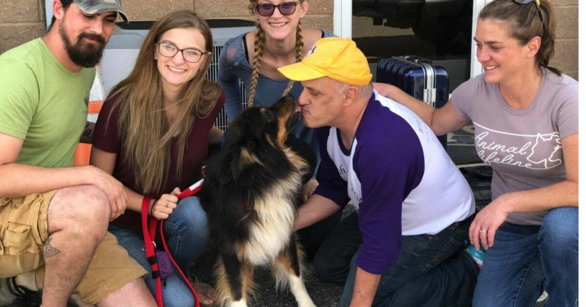 Stolen dog finally reunited with family.