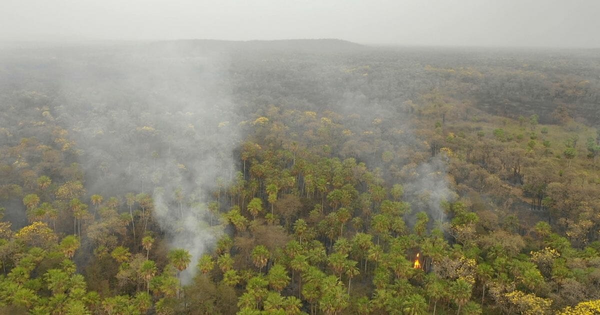 Smoke rises from the forest in Otuquis National Park in southeastern Bolivia on Aug. 26, 2019.
