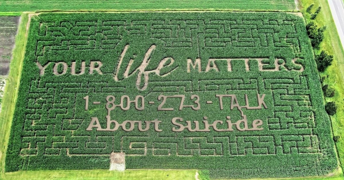 Corn field message