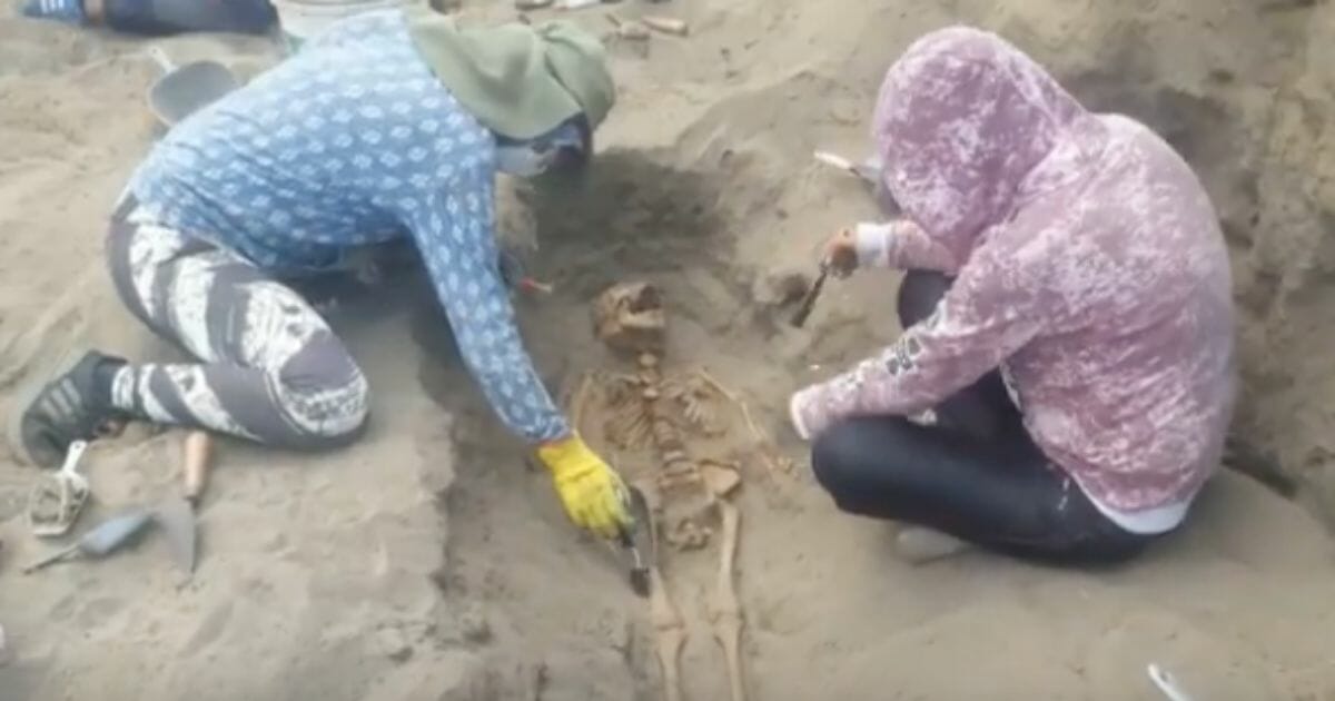 A group of archeologists unearth bones.