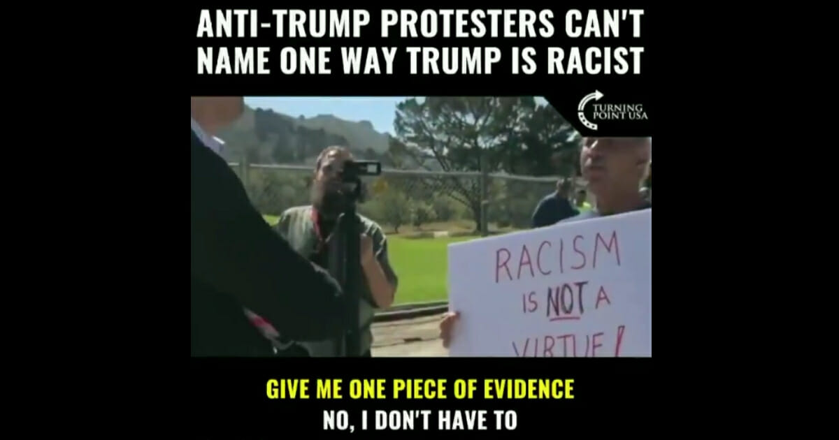 Anti-Trump protesters charged that the president is racist and "Hitler," but when asked to name one thing he had done that proves their case, they could not.