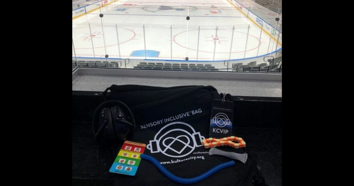 Hockey Sensory Bags