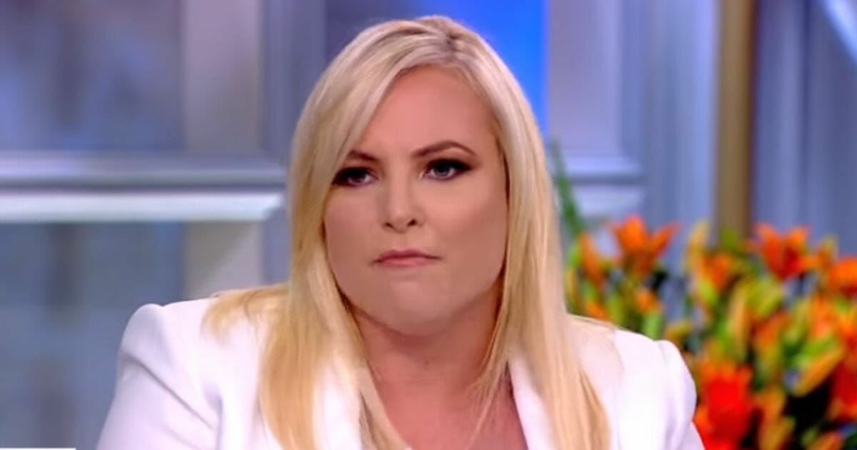 Meghan McCain says there will be 'a lot of violence' if guns are taken from owners.