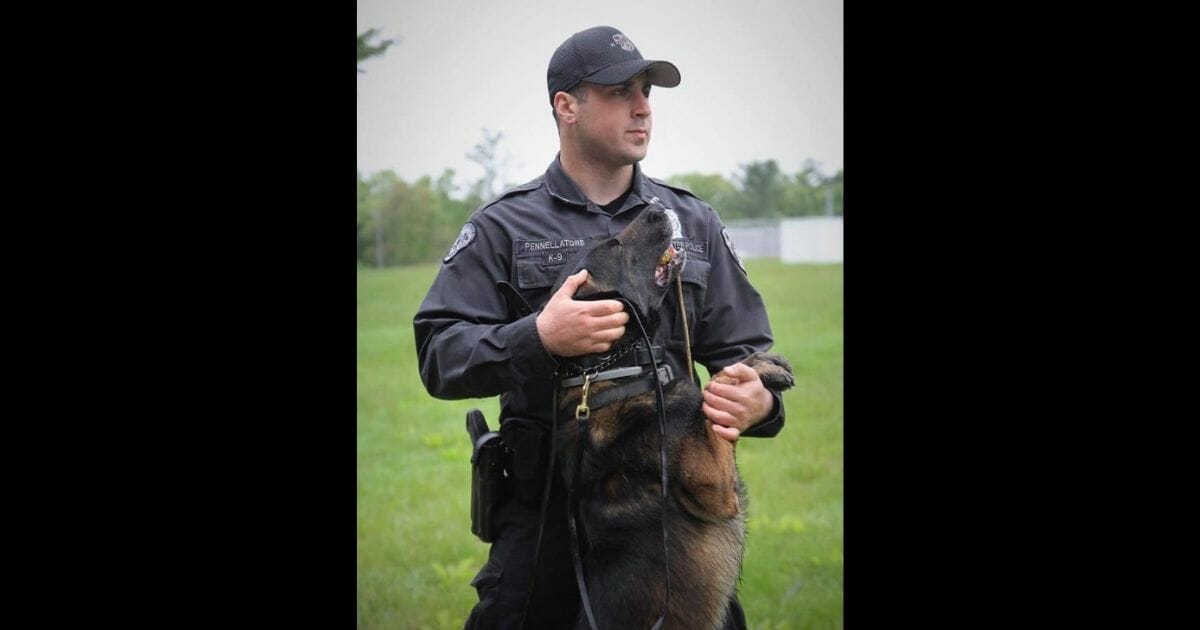 Police dog with handler.