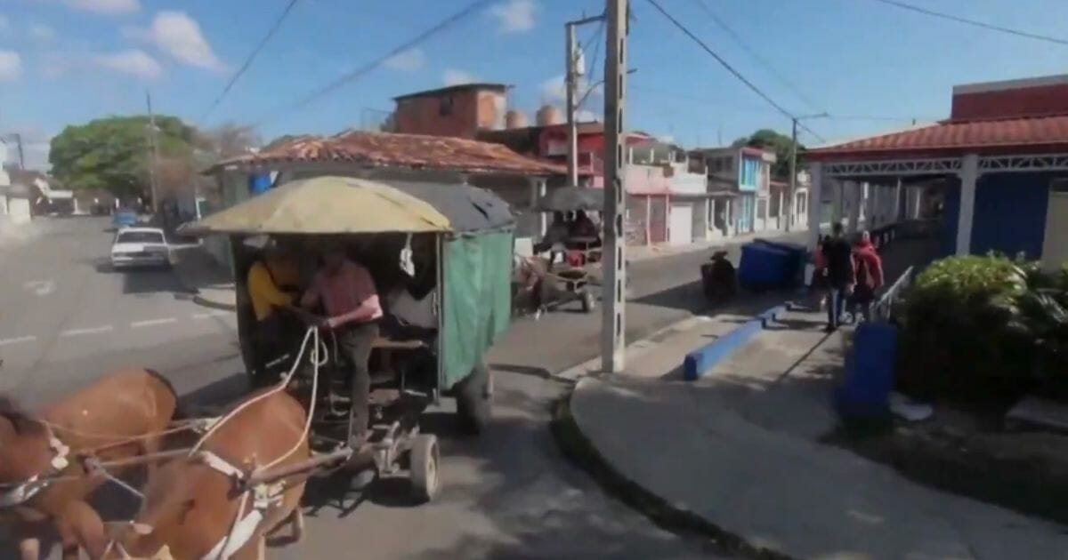 Cubans are turning to horse-drawn carriages as a fuel shortage rocks the communist island.