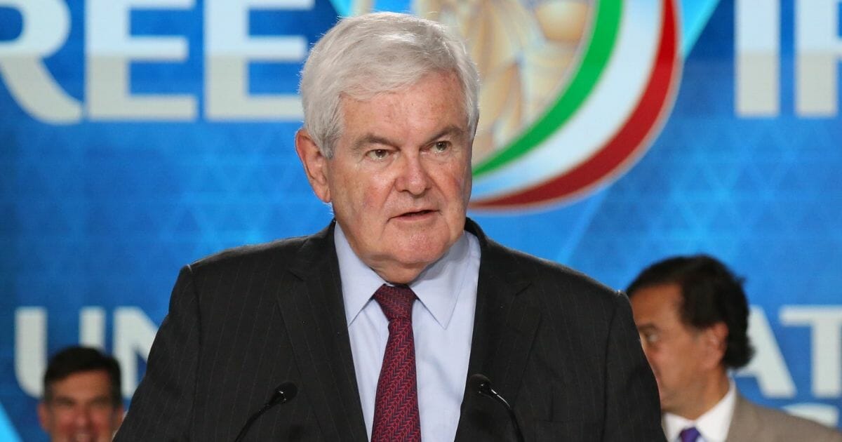 Former Speaker of the House Newt Gingrich on June 30, 2018, in Villepinte, France.