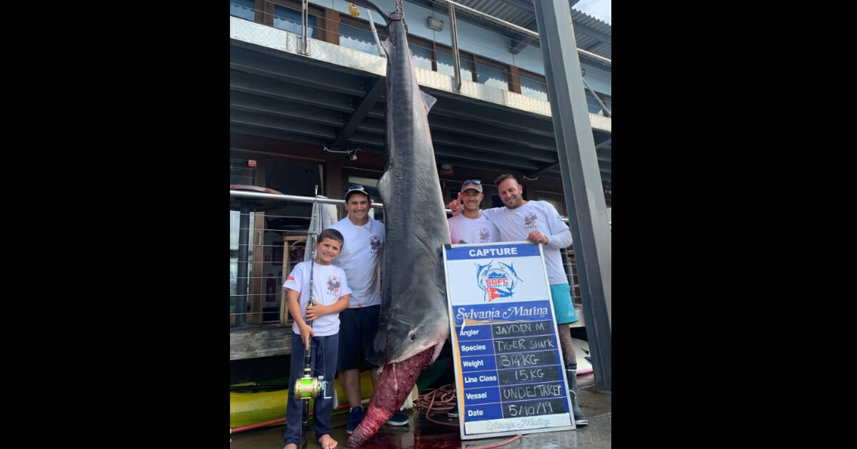 Jayden Millauro is only 8 years old and weighs a mere 88 pounds, but that didn't stop him from reeling in a monster shark off the coast of New South Wales.