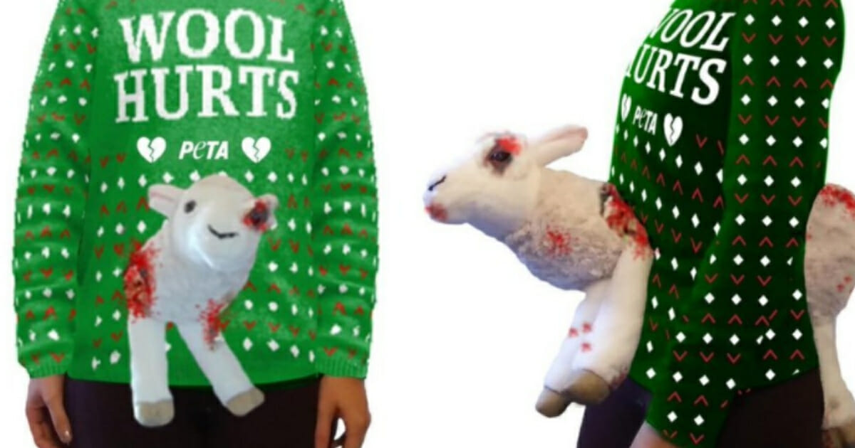 With the release of a sweater that the New York Post dubbed "baaa-rbaric," People for the Ethical Treatment of Animals is trying to turn consumers off on wearing wool.