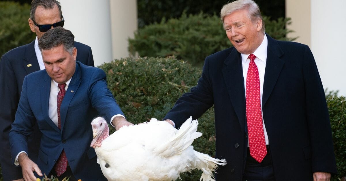 President Donald Trump pardons the National Thanksgiving Turkey during a ceremony in the Rose Garden of the White House in Washington, D.C. on Nov. 26, 2019.