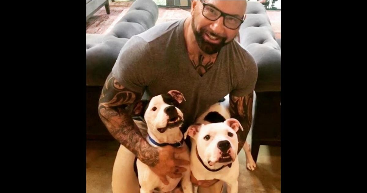 An actor with two dogs.