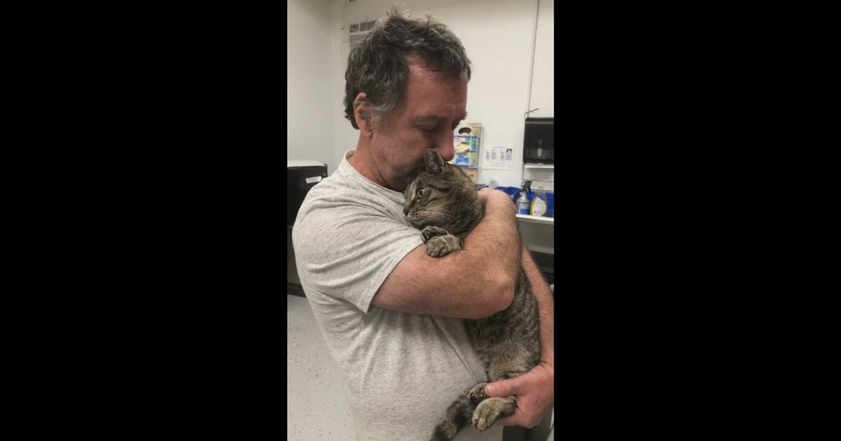 One man was reunited with his beloved cat seven years after losing him, all thanks to a kind stranger and the cat's microchip.