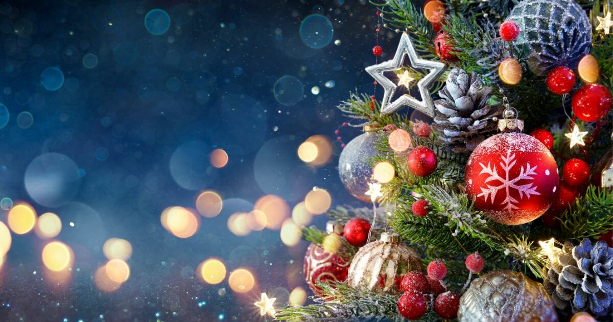 A stock photo of a Christmas tree is pictured above.