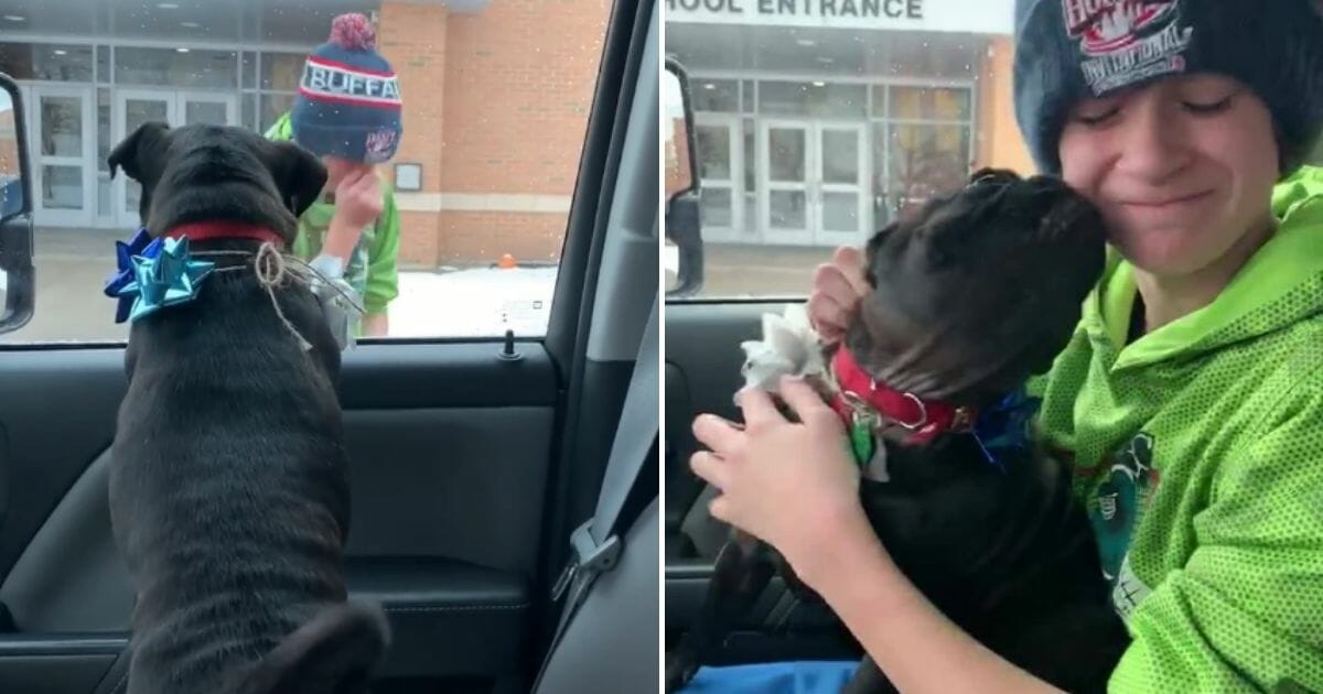 Weeks After Dog Goes Missing, Mom Surprises Son at School After Dog Is