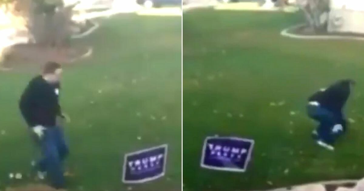 A man who tried to steal a Donald Trump sign got a shock.