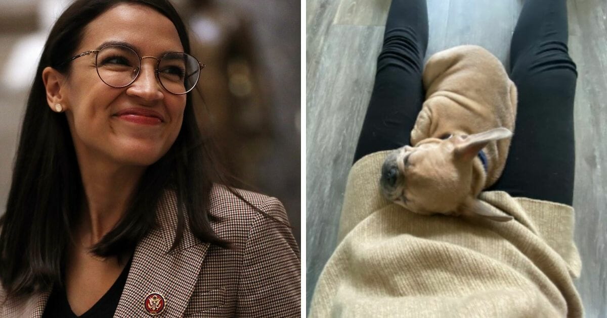 U.S. Rep. Alexandria Ocasio-Cortez, left, and her new, unnamed puppy, right.