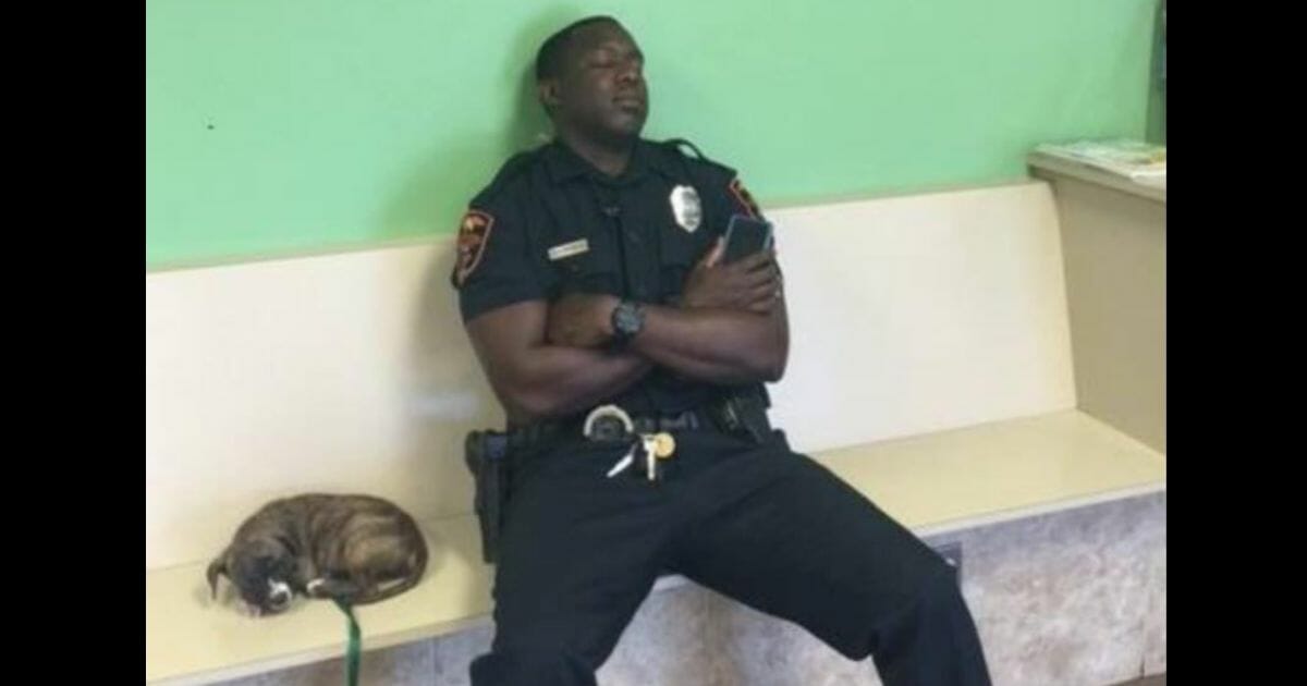 Florida police officer Kareem Garibaldi has been praised for going above and beyond the call of duty on behalf of a stray dog named Hope.