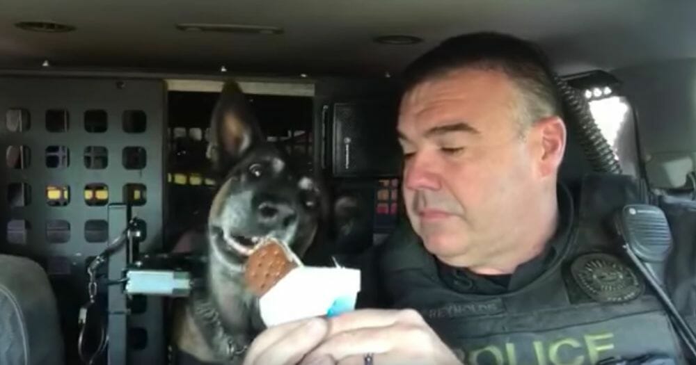 A K-9 officer with the Oro Valley Police Department in Arizona retired last week with a sweet sendoff from the police force who loves him.