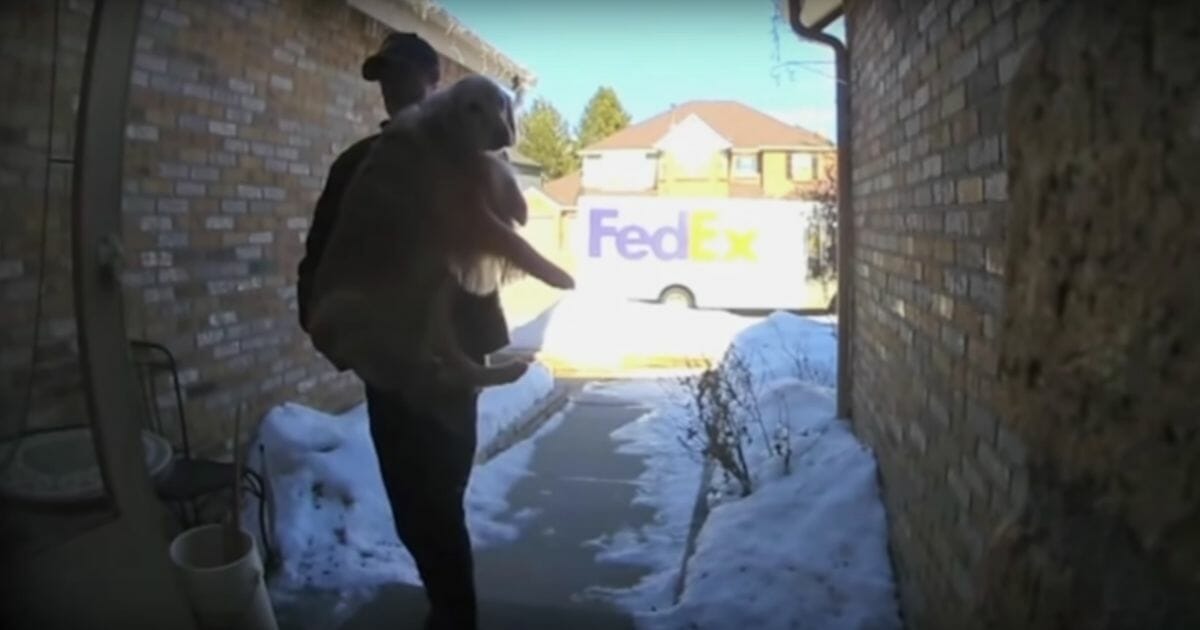 Home security camera captures FedEx driver returning owner's golden retriever that escaped on March 2, 2020.