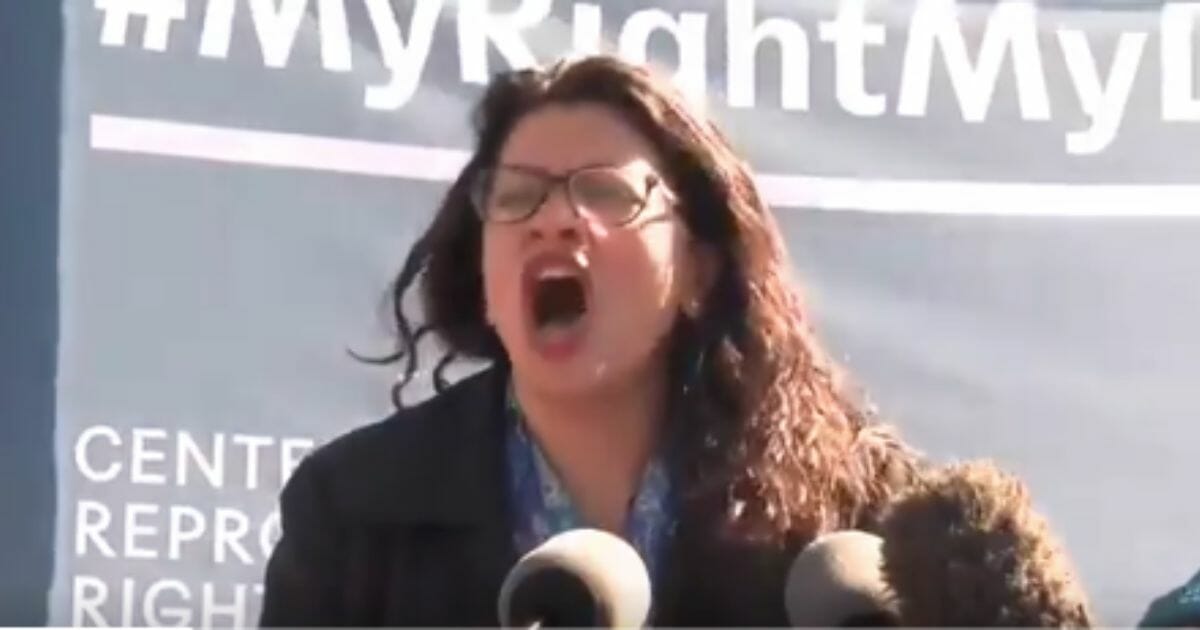 In this clip from the rally, Tlaib spoke -- well, screamed -- to the crowd about the interconnectedness of sex with social justice movements, how maybe you shouldn't want to have sex with her and ... well, perhaps I should just let Tlaib explain it to you.