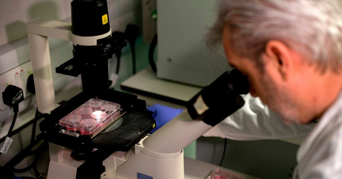 Doctor Paul McKay, who is working on an vaccine for the 2019-nCoV strain of the novel coronavirus, COVID-19, poses for a photograph using a microscope to look at bacteria containing the coronavirus in a research lab at Imperial College School of Medicine in London on Feb. 10, 2020.