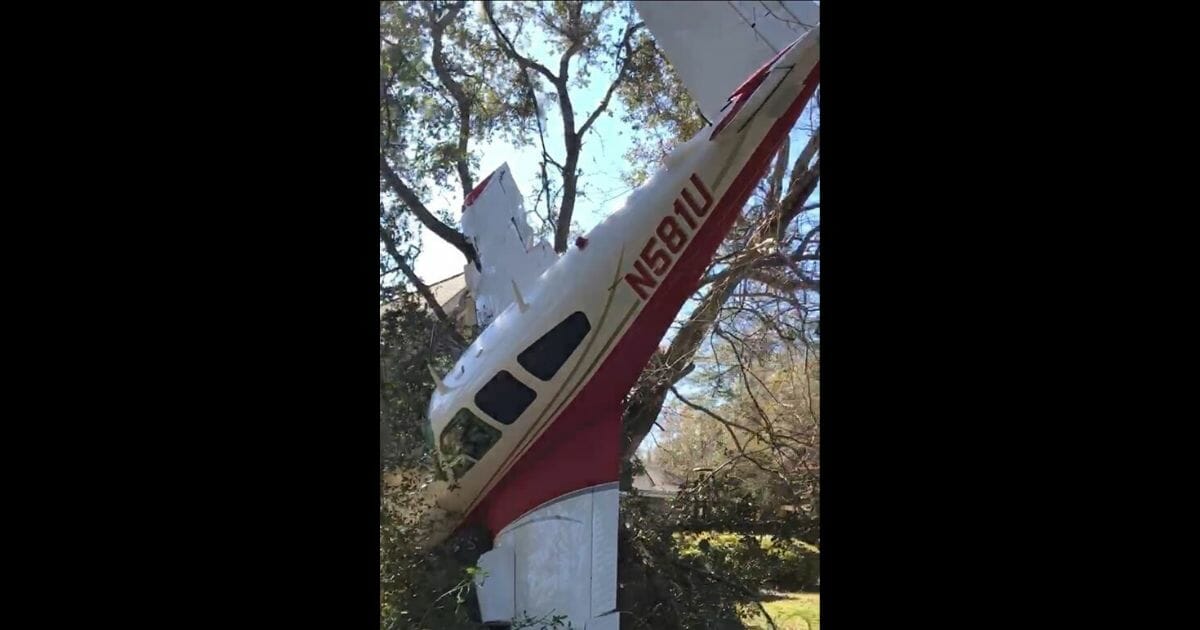 The Beech Bonanza aircraft at the crash site in Okaloosa County.