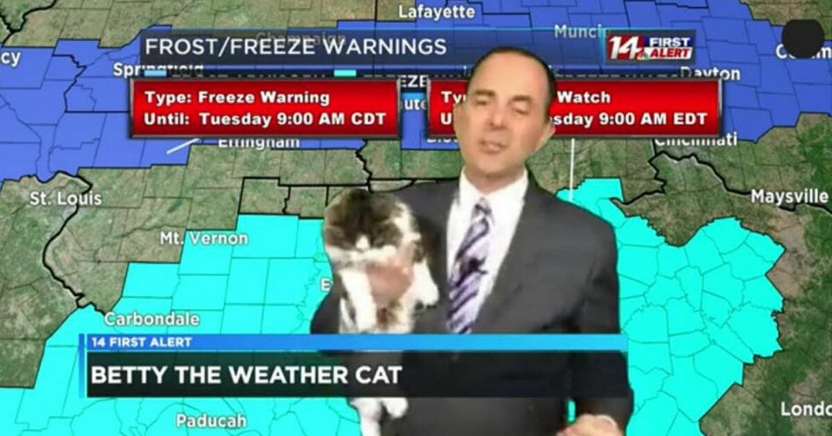 Betty the cat has become a fixture in Jeff Lyons' forecasting.