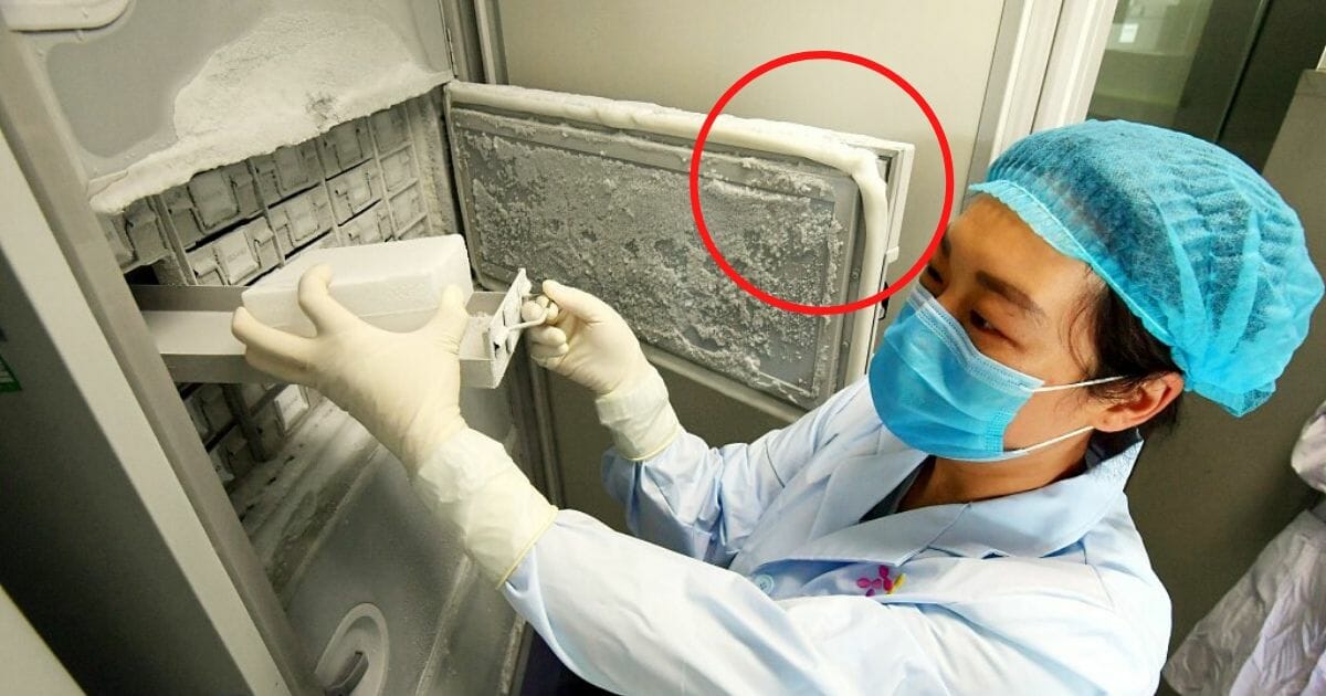 A picture taken inside the Wuhan Institute of Virology, with a potentially faulty gasket circled.