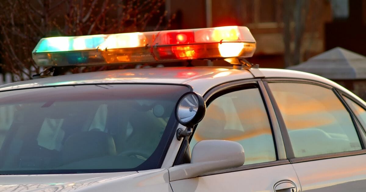 Police lights lit on a patrol car.