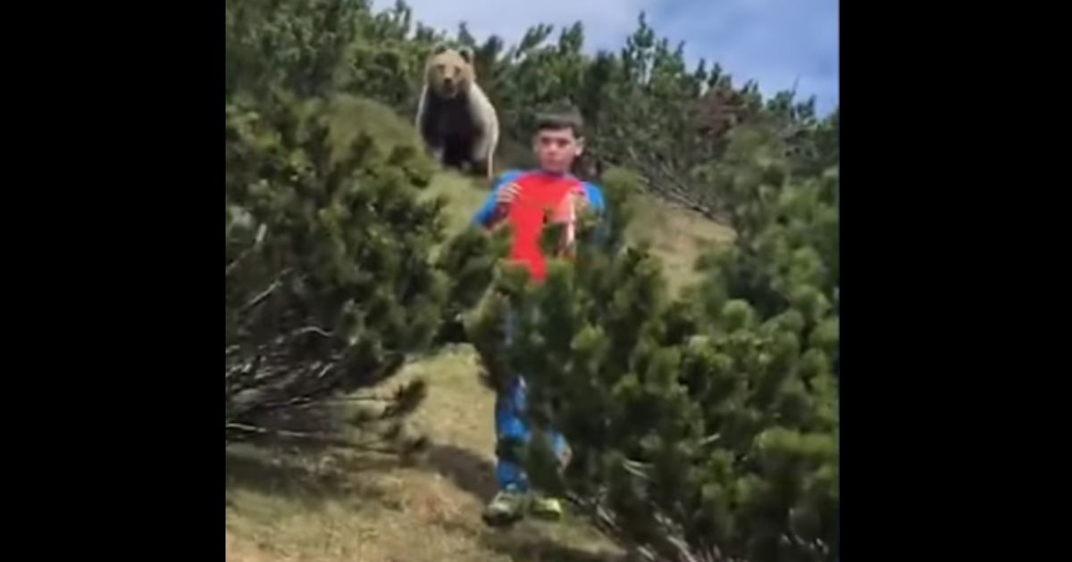A 12-year-old Italian boy is being praised for his ability to stay calm when he encountered a wild bear.