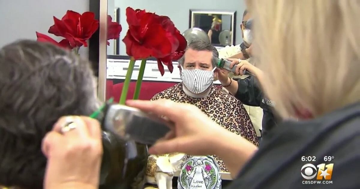 Texas Sen. Ted Cruz gets his hair cut
