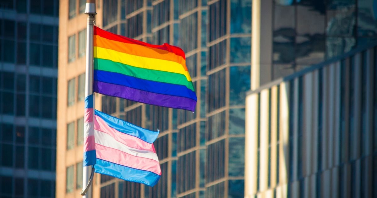 The pride and trans flags wave in the above stock image.