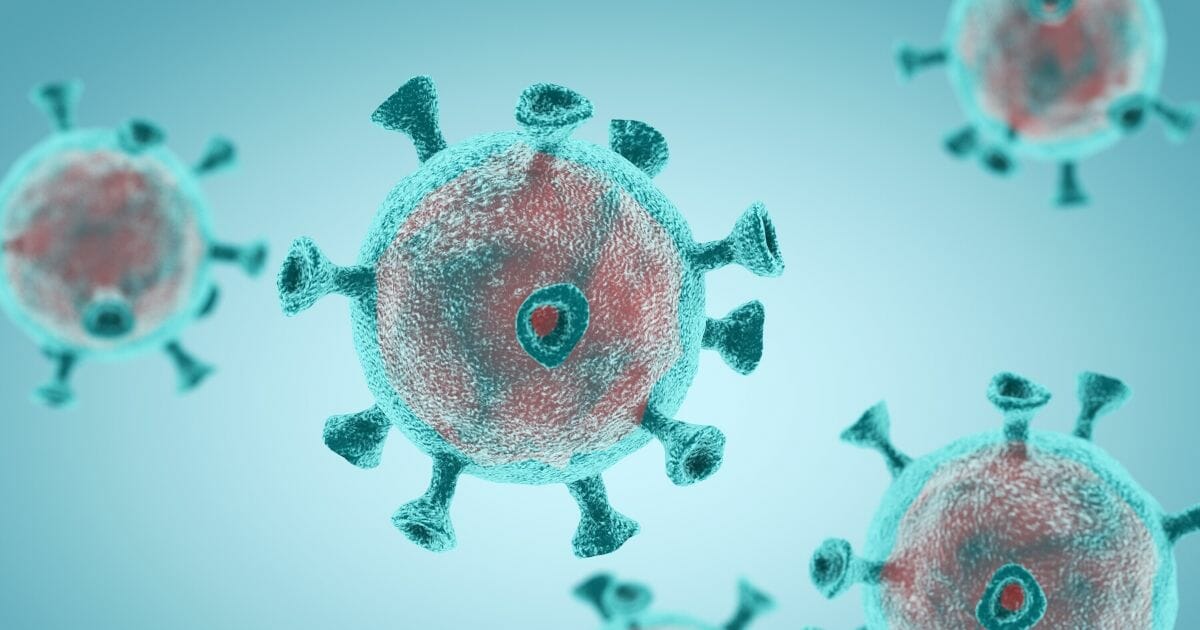 A rendering of the coronavirus.