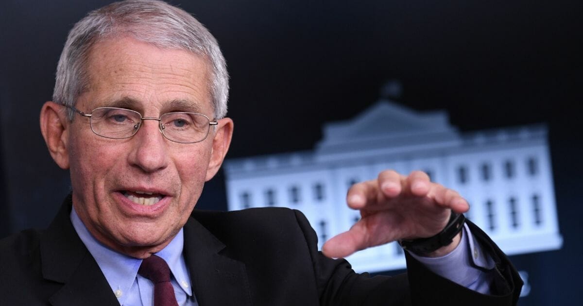 Dr. Anthony Fauci, director of the National Institute of Allergy and Infectious Diseases, pictured in a file photo from April.