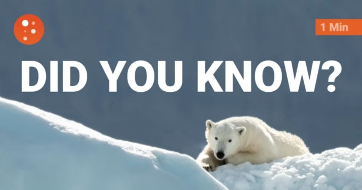 Facebook reduced the distribution of PragerU's page after the conservative nonprofit posted a video about polar bears and climate change.