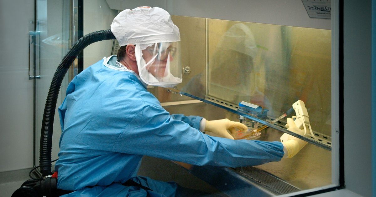 A Centers for Disease Control scientist performs influenza research at the agency's biological lab in Atlanta in a 2005 file photo.