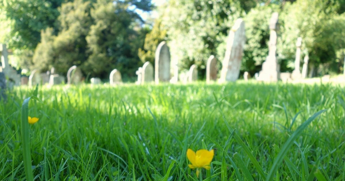 Stock image of a cemetery in the sunlight.