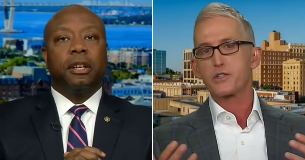 Sen. Tim Scott and former Rep. Trey Gowdy, both South Carolina Republicans, talk about the push to "defund police" in an appearance on Fox News.