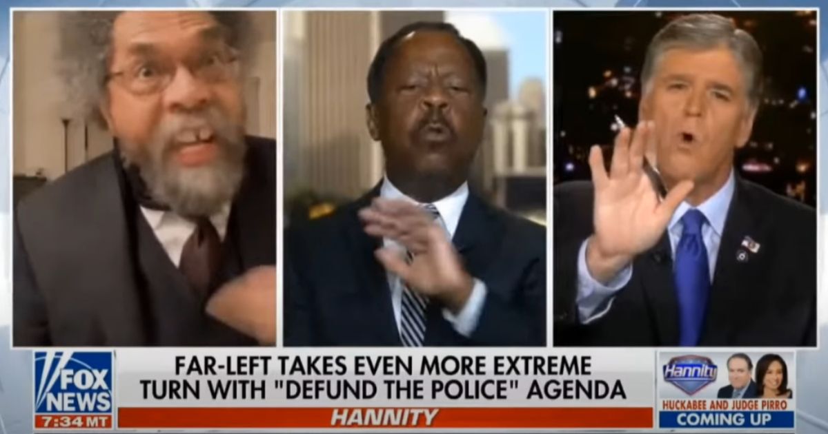 Leo Terrell and Cornel West spar on Sean Hannity's show.