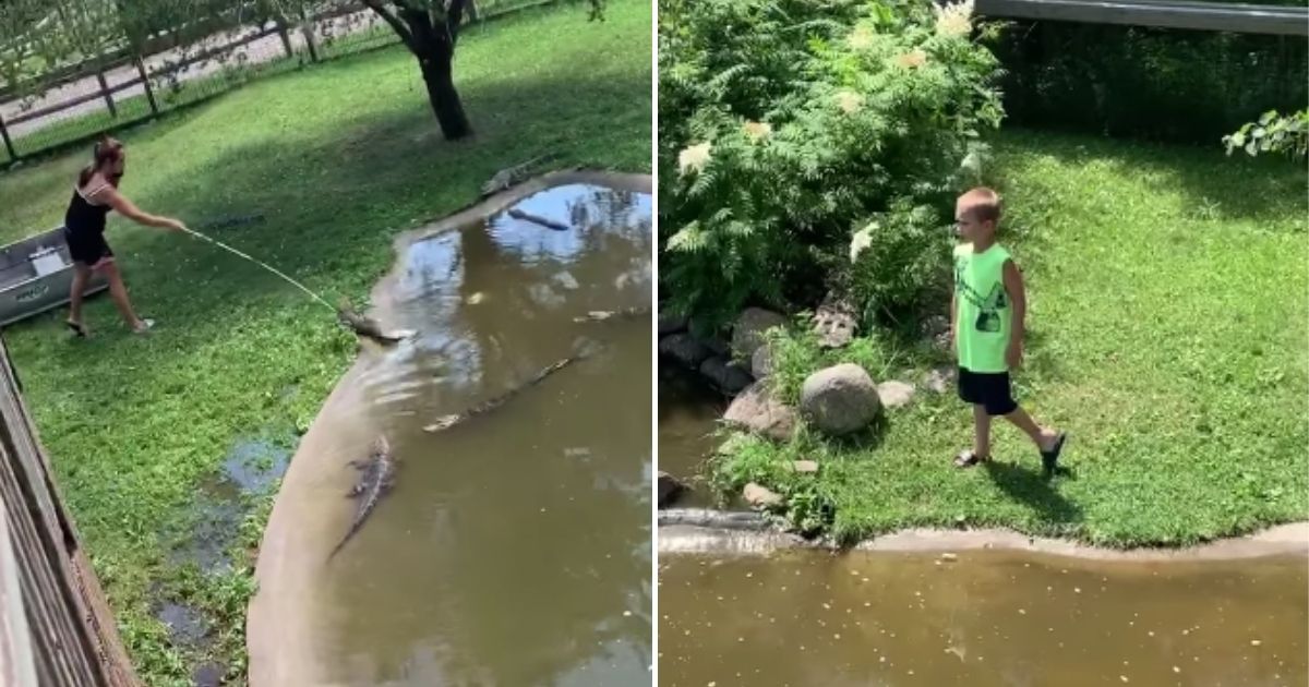 A woman entered a zoo enclosure filled with alligators at the Safari North Wildlife Park in Brainerd, Minnesota, with a young boy to retrieve her wallet from the pit, TMZ reported.