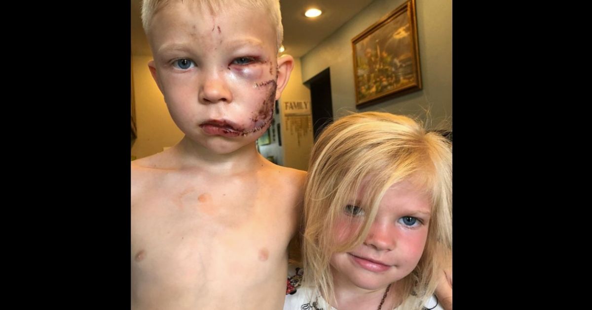 Bridger is a 6-year-old boy who loves his little sister so much that he was willing to risk everything to keep her safe. His story has started circulating after his aunt Nikki Walker shared it on Instagram and asked people to pass it along.